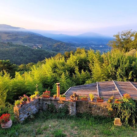 Agriturismo I Pitti Serravalle Pistoiese Buitenkant foto
