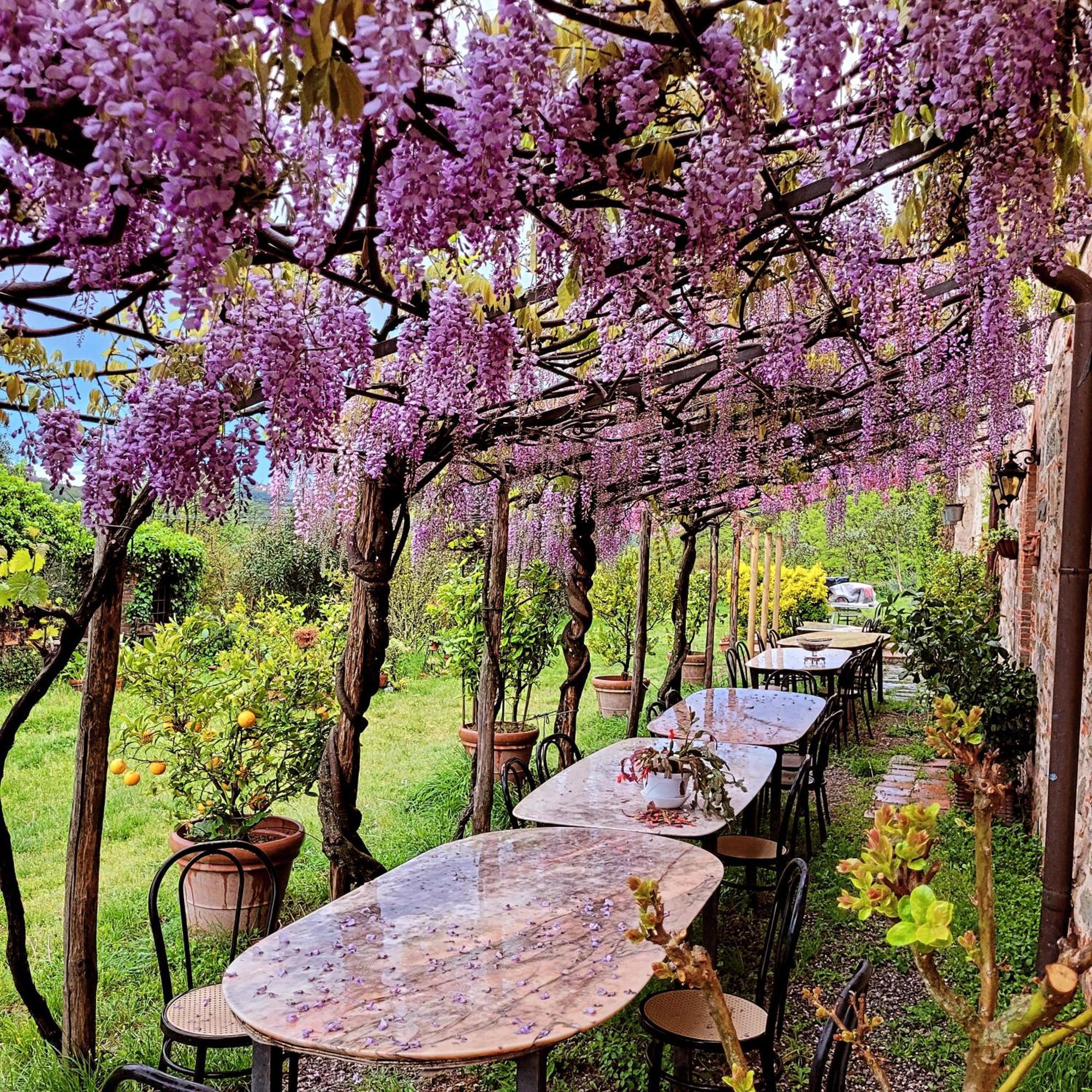Agriturismo I Pitti Serravalle Pistoiese Buitenkant foto