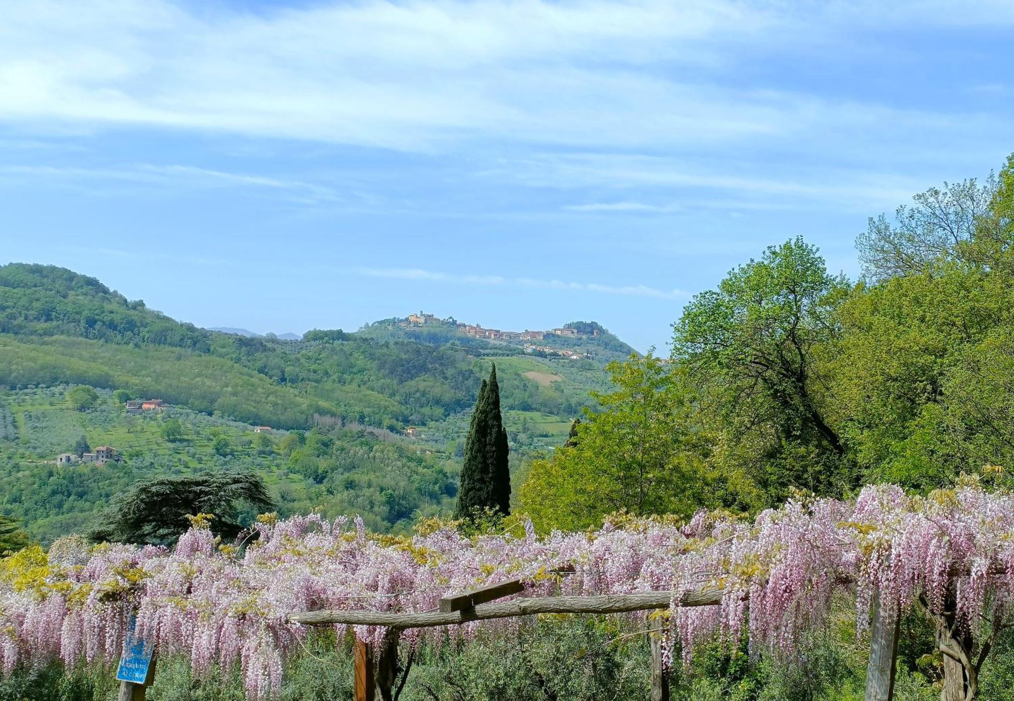 Agriturismo I Pitti Serravalle Pistoiese Buitenkant foto