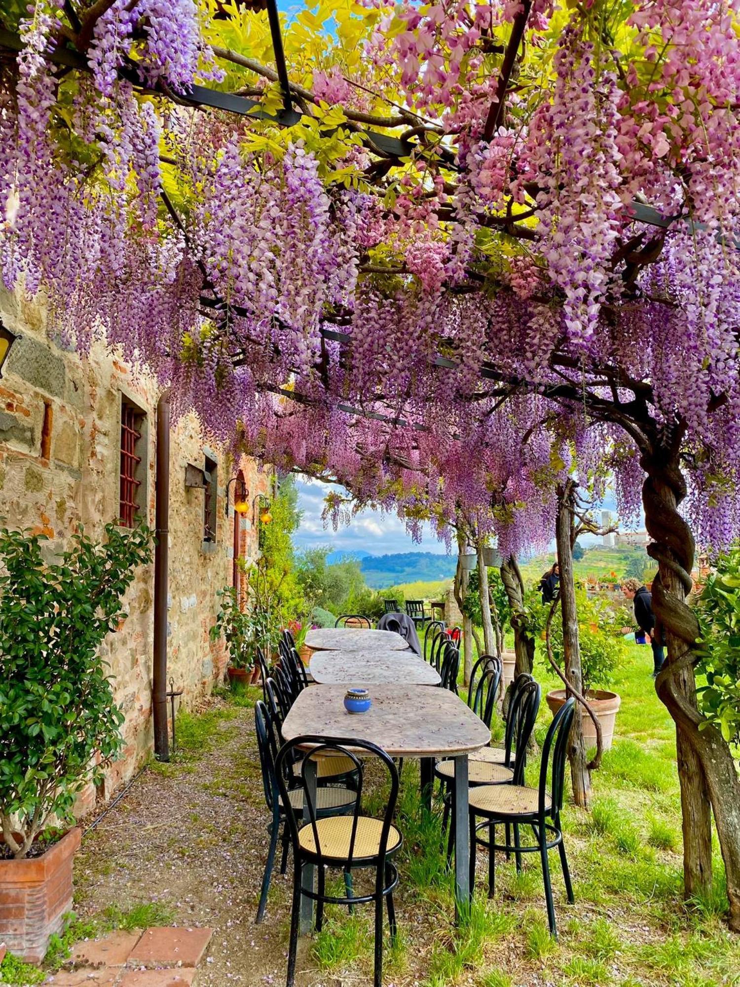 Agriturismo I Pitti Serravalle Pistoiese Buitenkant foto