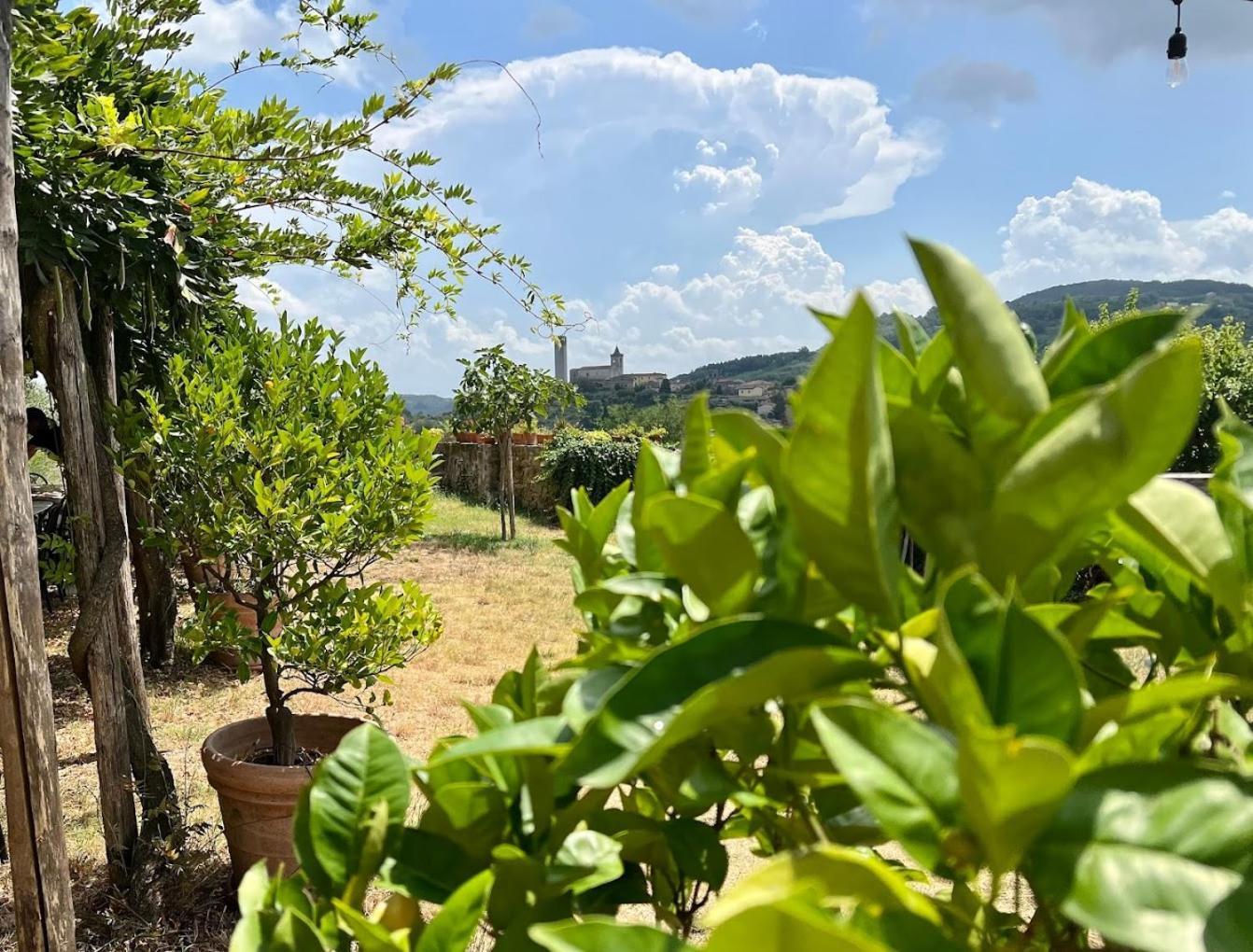 Agriturismo I Pitti Serravalle Pistoiese Buitenkant foto
